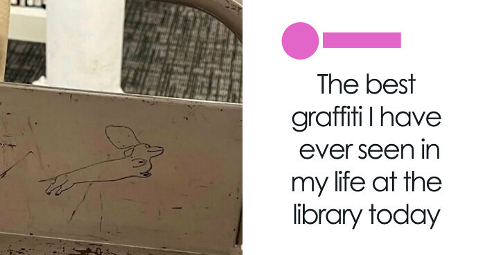 58 Animal Memes That Prove Nature Has A Very Strange Sense Of Humor