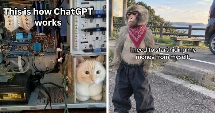 81 Hilarious Pics From A Page That’s Dedicated To Sharing Random Yet Amusing Posts (New Pics)