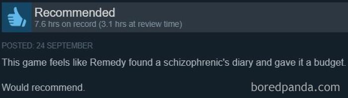 Funny Steam review comparing a video game to Remedy finding a diary with a budget.