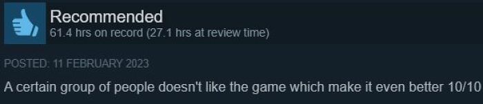 Entertaining Steam review giving a video game 10 out of 10 because a certain group dislikes it.
