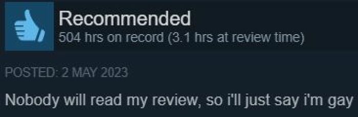 Humorous Steam review stating nobody will read it so the user confesses something.