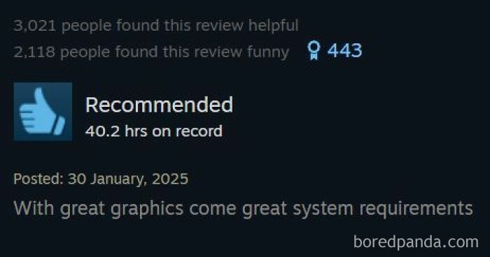 Entertaining Steam reviews with a recommended tag remarking on great graphics and system requirements