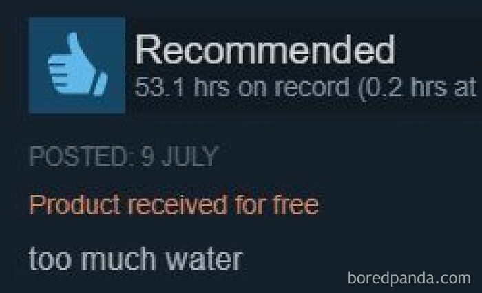 Entertaining Steam review with a short comment saying too much water