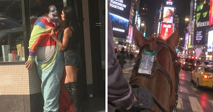 78 Random Photos That Are So Weird And Funny They Deserve A Second Look
