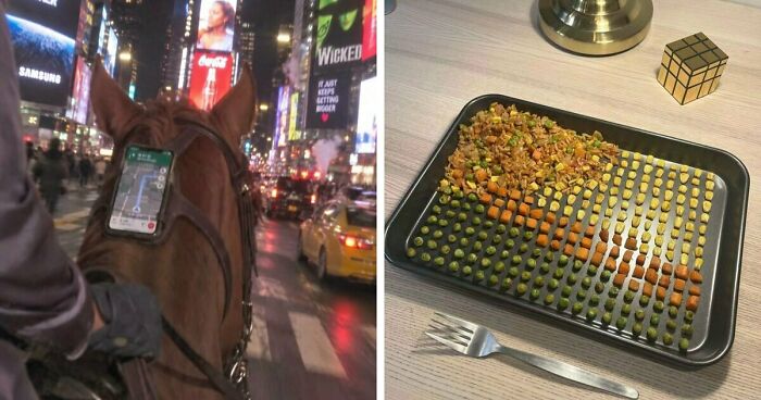 78 Random Photos That Are So Weird And Funny They Deserve A Second Look