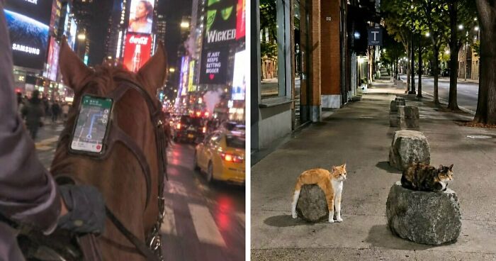 78 Photos Of Real-Life Moments That Seem Too Strange To Be True