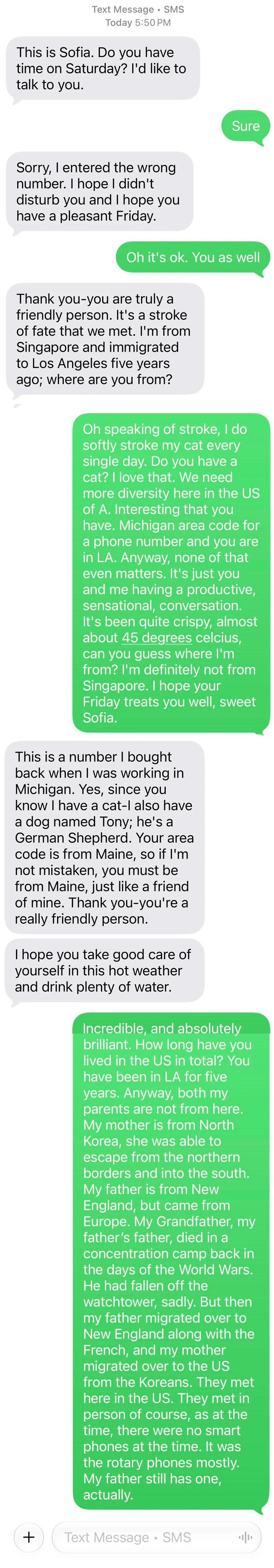 Screenshot of an unusually long and detailed wrong number text conversation involving a backstory response.