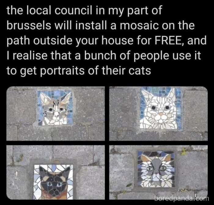 Wholesome memes screenshot showing four cat mosaic tiles installed on a sidewalk in Brussels.