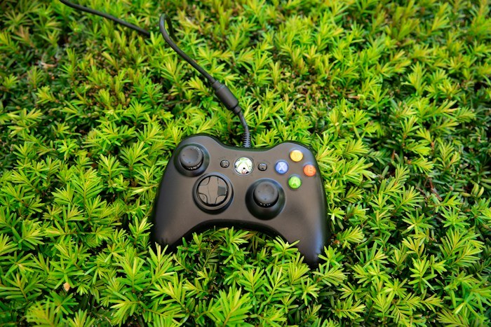 Black video game controller sitting on green grass as dumpster finds