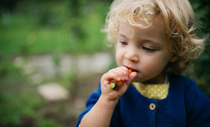 A toddler eating a carrot, linked to famous health-related PR stunts.