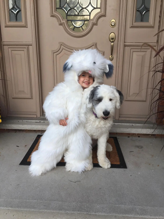 A young child in a fluffy sheepdog outfit posing next to a real dog for cute pet halloween costumes