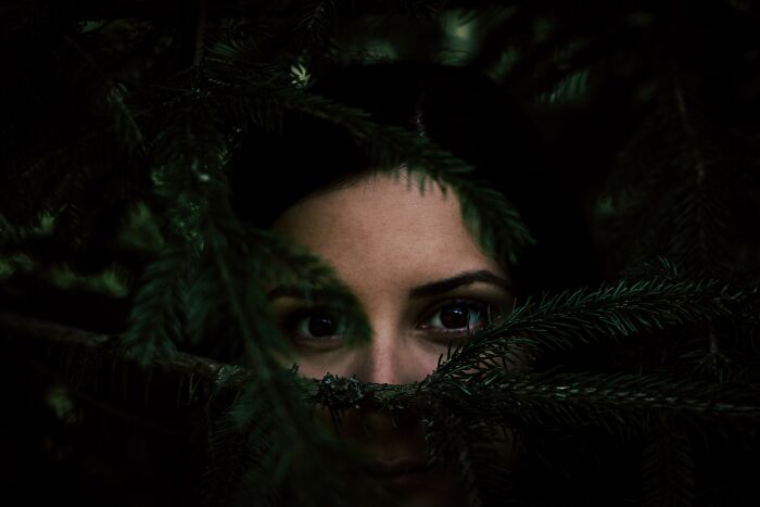 Person's eyes peeking through branches in a funny haunted house story scene