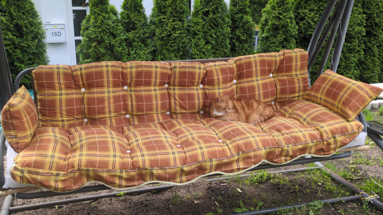 69 Cute, Confusing And Interesting Examples Of Accidental Camouflage