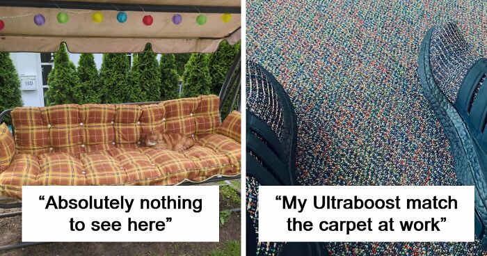 69 Hilarious Examples Of People, Animals, And Objects Accidentally Blending Into Their Surroundings