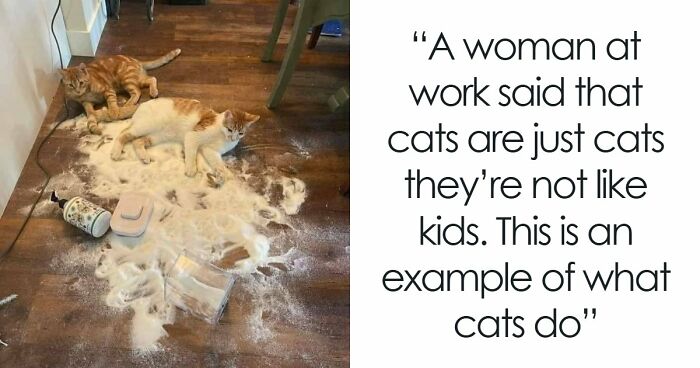 80 Hilarious Cat Crimes That Prove These Furry Suspects Are Always Up To Something