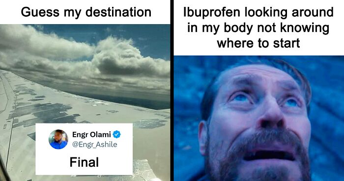 55 Funny Memes That You Might Want To Share With Your Group Chat