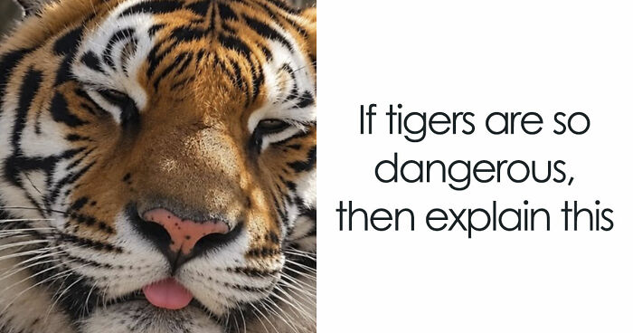55 Funny Memes That You Might Want To Share With Your Group Chat