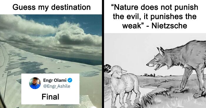 55 Funny Memes That You Might Want To Share With Your Group Chat
