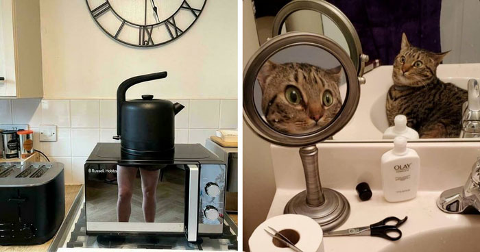 57 Mirror Pics Where The Reflection Ended Up Being Funnier Than The Main Subject