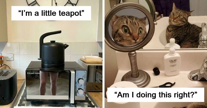 57 Mirror Pics Where The Reflection Ended Up Being Funnier Than The Main Subject