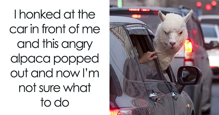 62 Random Memes That Have Absolutely No Agenda But To Make You Laugh Today