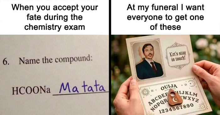 62 Random Memes That Have Absolutely No Agenda But To Make You Laugh Today