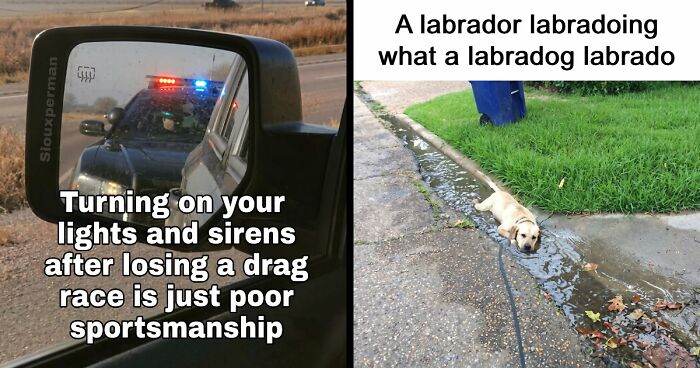 80 Memes That Might Make You Say, “Yeah, That Could Only Happen In The Country”