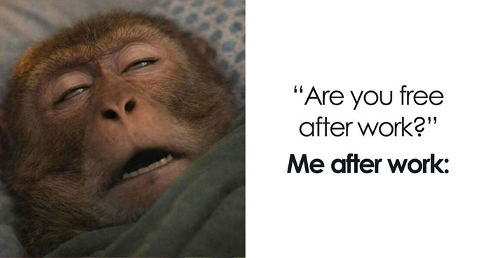 83 Memes That Are Funny Because People Find Them A Little Too Accurate To Their Lives