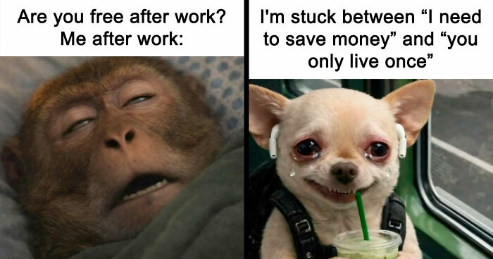 83 Memes That Are Funny Because People Find Them A Little Too Accurate To Their Lives