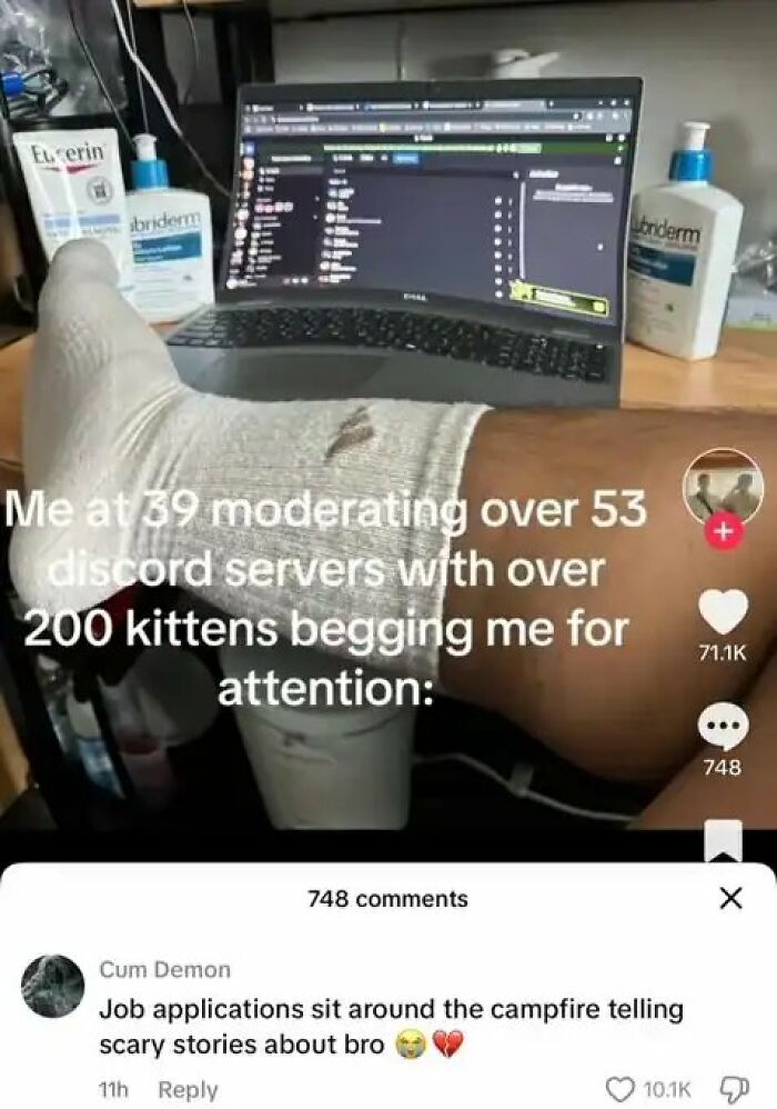 TikTok screenshot showing funny insults about a Discord moderator's job prospects.