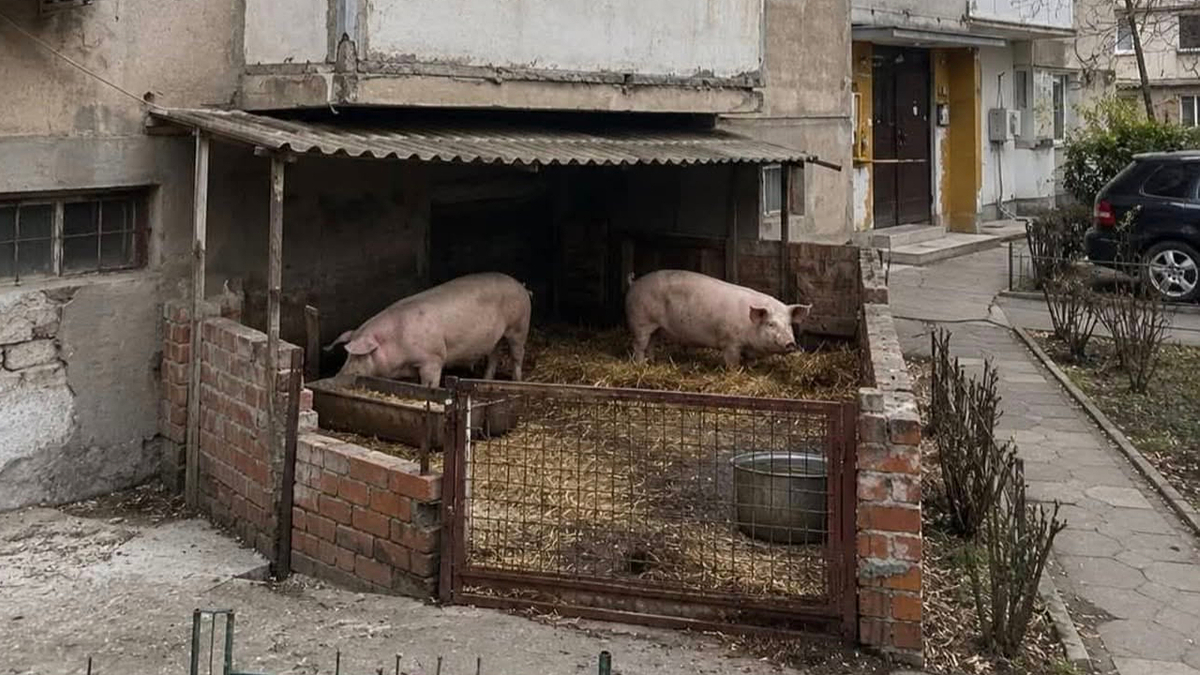 boredpanda.com - Danielė Šidiškytė - 69 Construction Fails That Make You Wonder Who Looked At Them And Said 'Good Enough'