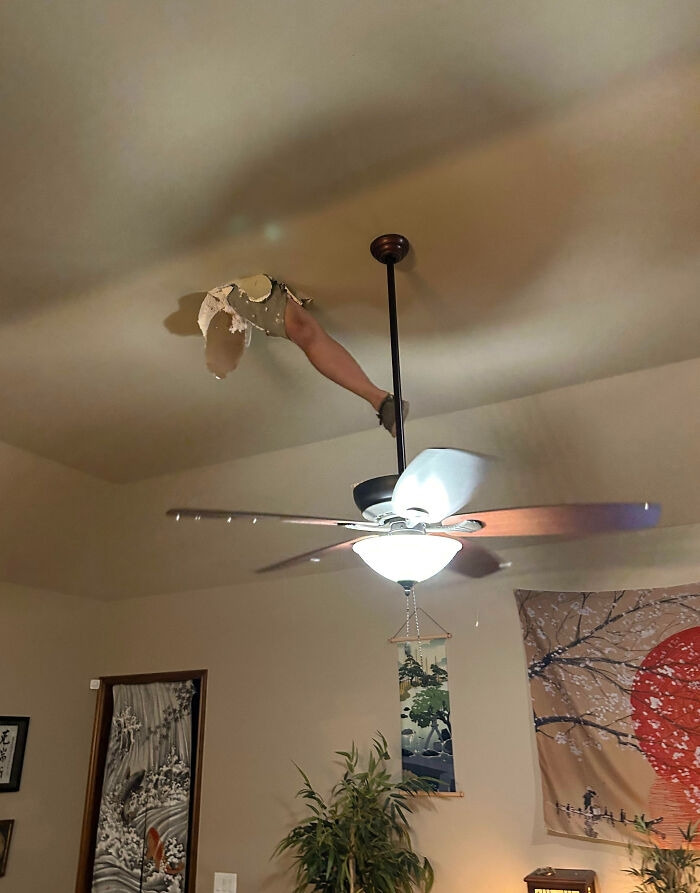 A dramatic home renovation fiasco where a leg has broken completely through a plaster ceiling near a fan.