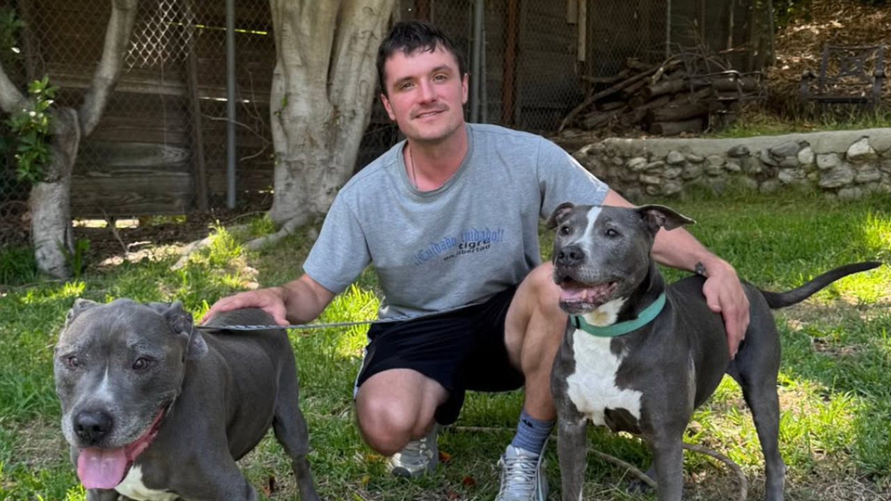 ‘Hunger Games’ Star Josh Hutcherson Shares His Heartwarming Rescue Story to Inspire Dog Adoptions