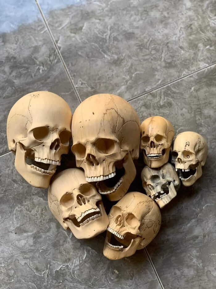 Collection of realistic decorative skulls arranged together on a tiled floor for Halloween.