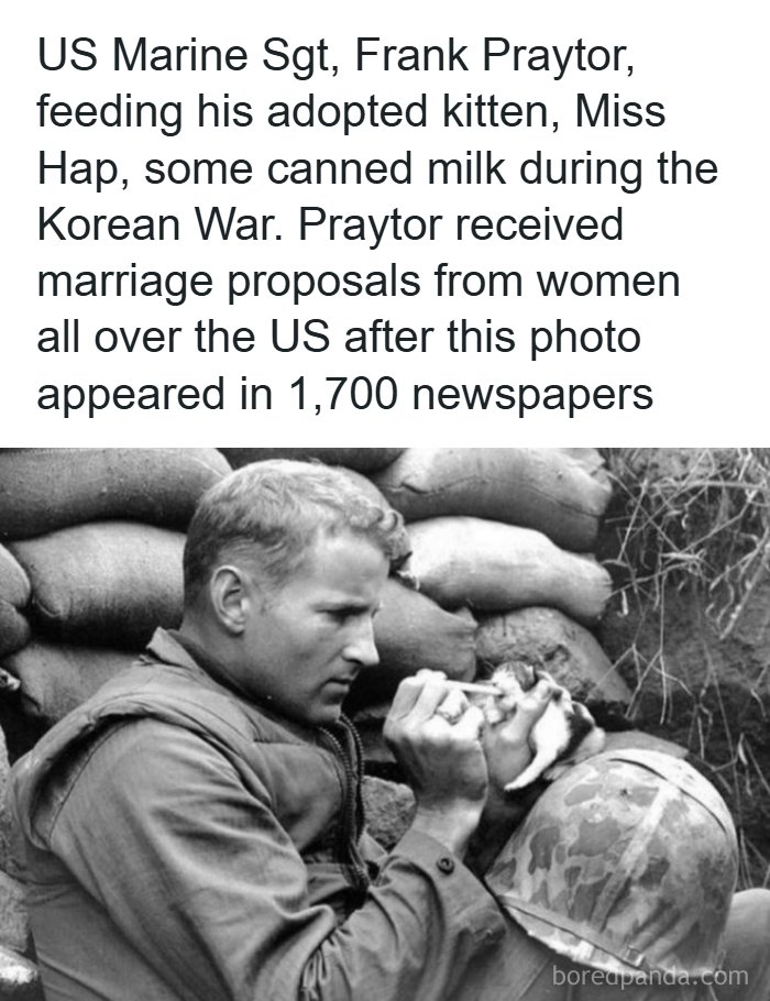 Historical photo of a US Marine feeding a tiny kitten showing interesting facts from around the world