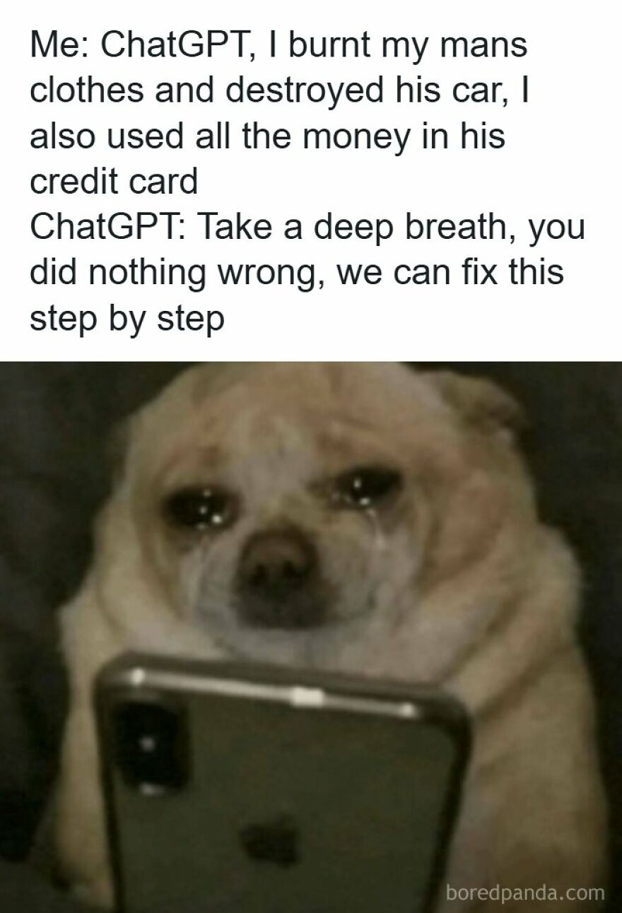 A meme showing a sad chihuahua crying while looking at a smartphone, illustrating a humorous conversation with ChatGPT.