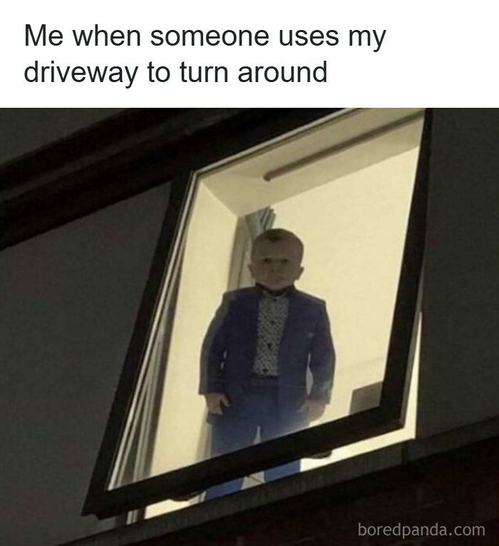 Funny Hasbulla meme looking out the window to send to friends