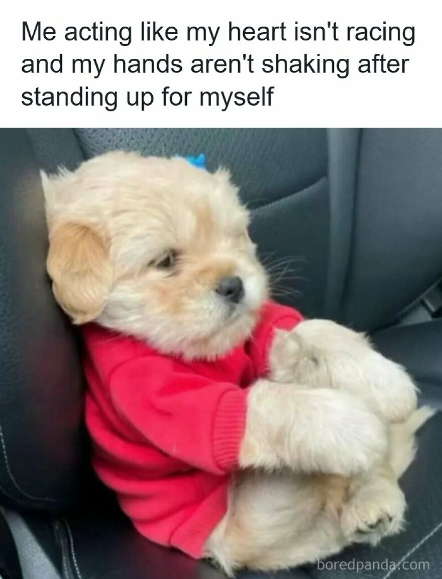 A meme with a cute small puppy wearing a red sweater and clutching its paws nervously while sitting in a car.