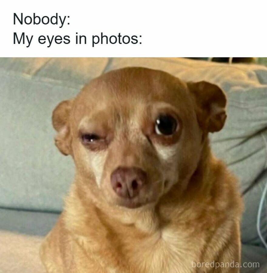 A brown dog squinting with one eye closed in one of the spot-on memes about bad photos.
