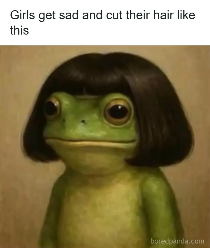 Funny meme showing a frog with a short haircut captioned about girls cutting their hair sad