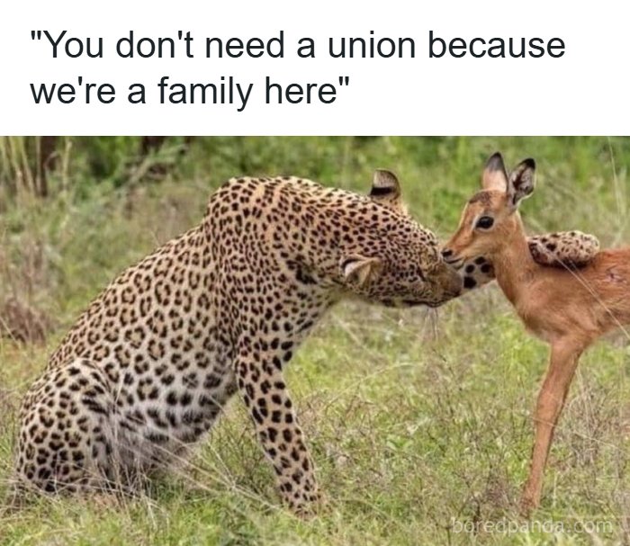 I Don't Know Much, But I Do Know One Thing, You Need A Union