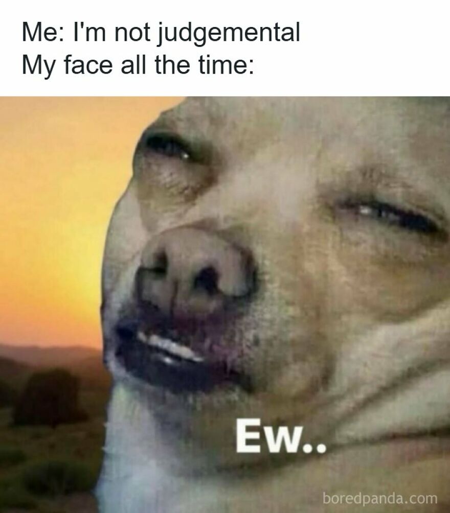 Funny dog expression meme about being judgmentally accurate.
