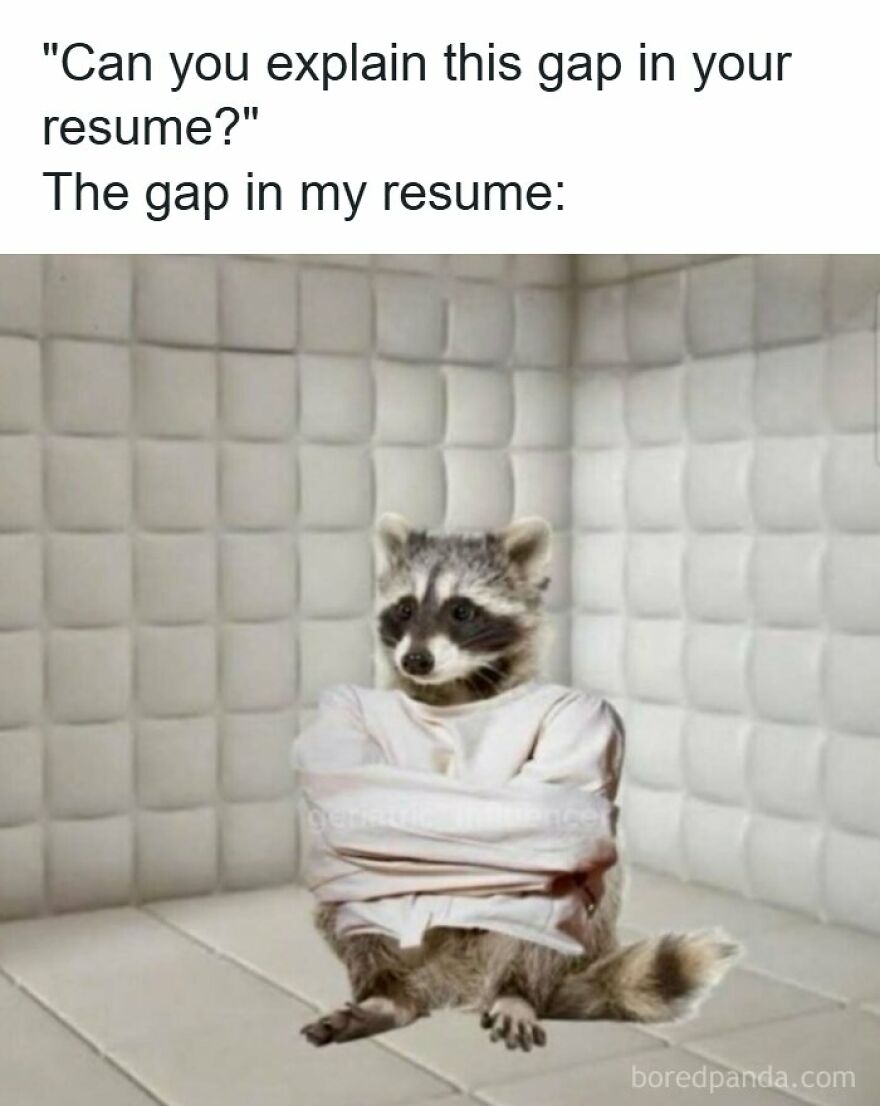 Accurate memes with a raccoon sitting in a straitjacket inside a padded room.