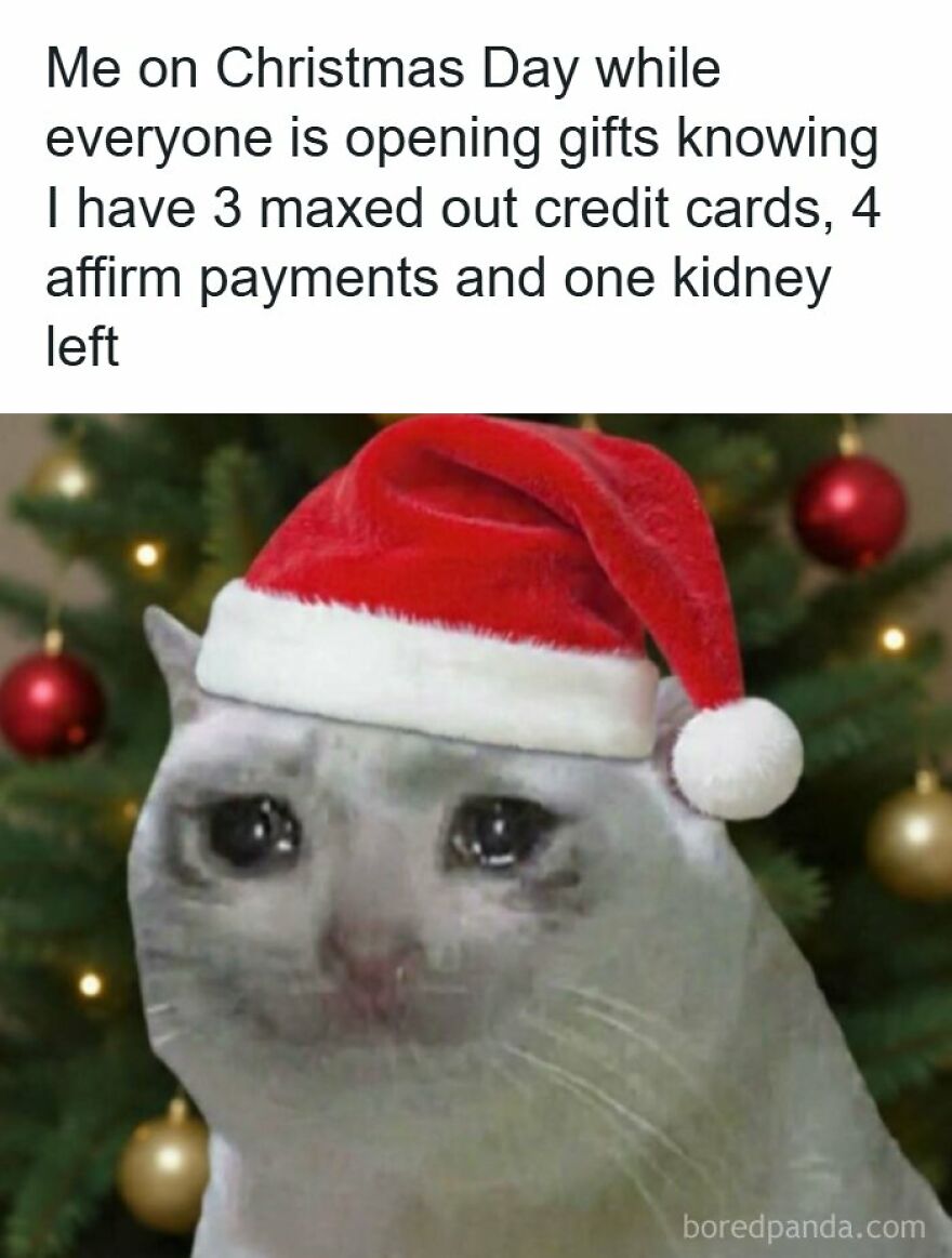 Spot-on Christmas meme showing a teary-eyed cat in a Santa hat representing holiday spending stress.