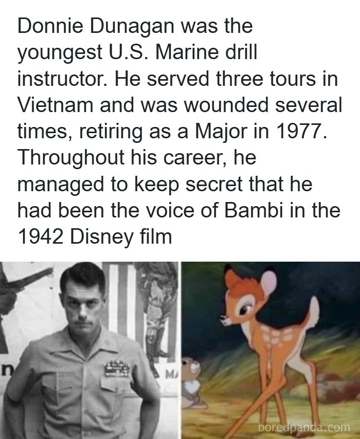 A side by side image of Donnie Dunagan and Bambi, shared as interesting facts about the world