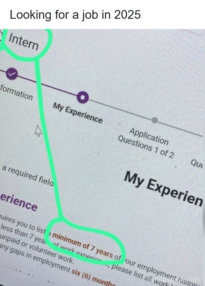 A job application form for an intern position requiring a minimum of 7 years experience as part of recruiting fails.