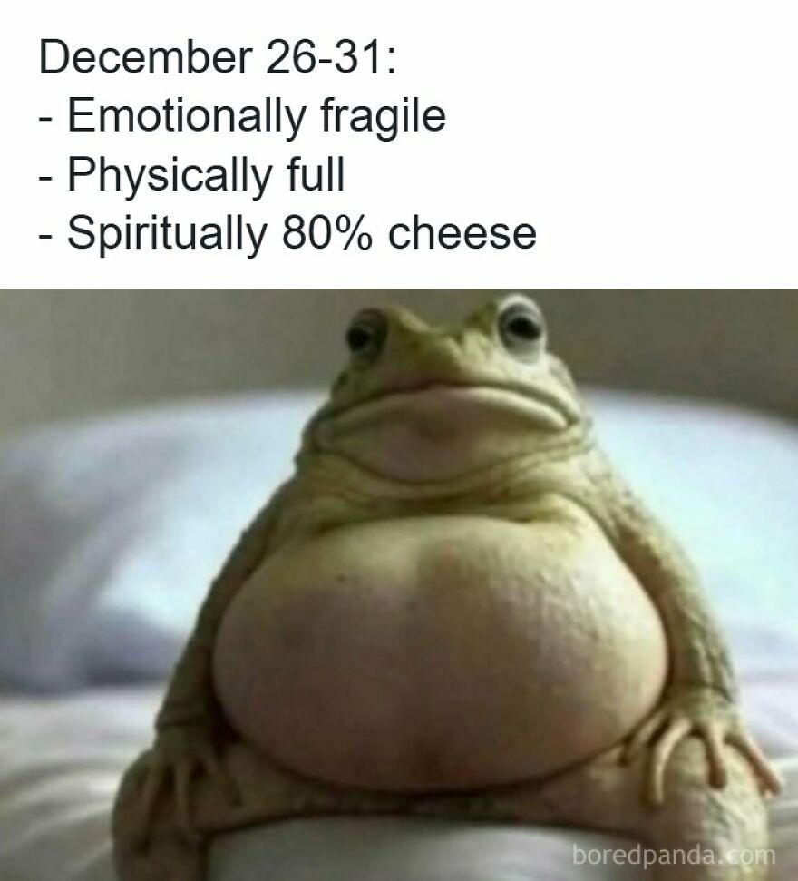 Accurate meme featuring a chubby frog representing post-holiday feelings.