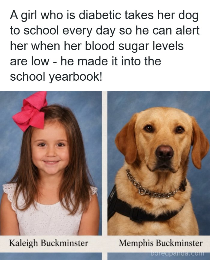 School yearbook photos of a young girl and her service dog, featured in heartwarming fun posts online.