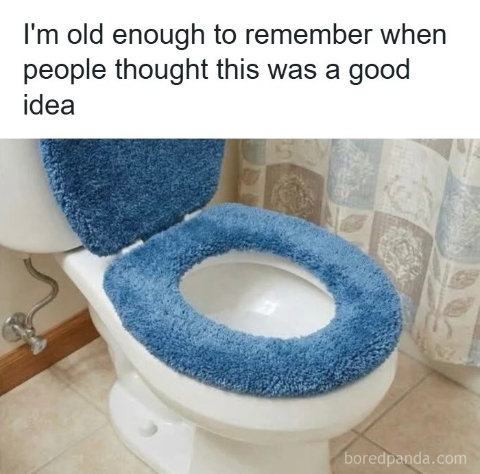 Funny meme showing a toilet with a blue fuzzy cover reminiscing old home decor