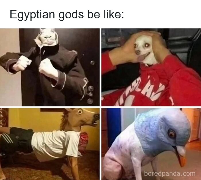 Four funny panels of animals dressed as humans illustrating Egyptian gods history memes.